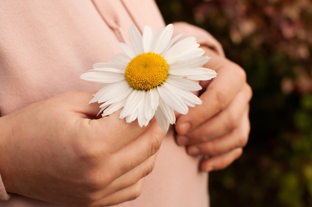 Una donna incinta in una camicetta rosa tiene una margherita nelle sue mani in primo piano con uno sfondo sfocato