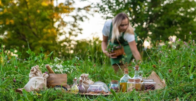 Una donna raccoglie erbe medicinali Messa a fuoco selettiva Natura