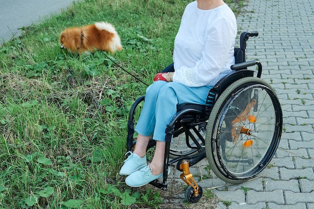 Una donna su una sedia a rotelle cammina con il suo cane all'aperto. Giornata internazionale delle persone con disabilità