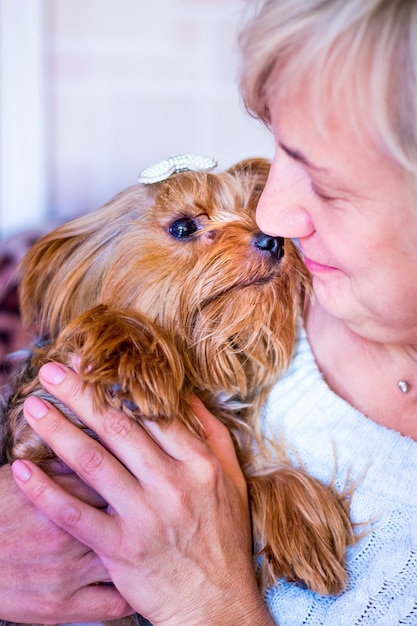 Una donna tiene in braccio un cane di razza Yorkshire terrier