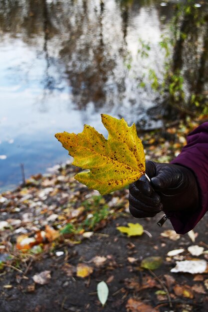 Una donna tiene in mano una foglia d'acero gialla. Foglia gialla su uno sfondo sfocato del lago e della riva.