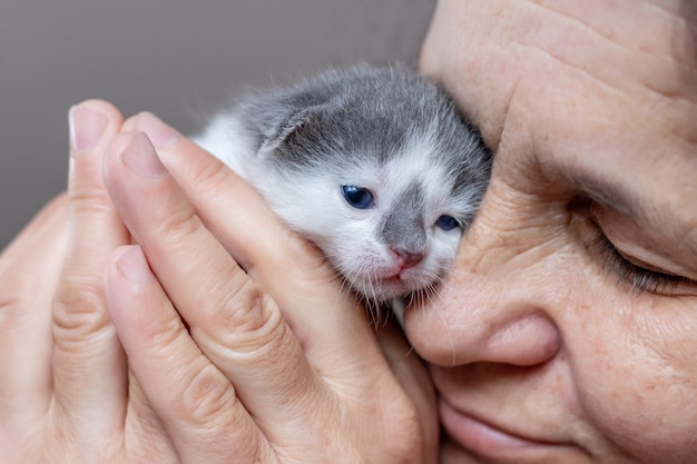 Una donna tiene un piccolo gattino appena nato vicino al suo viso