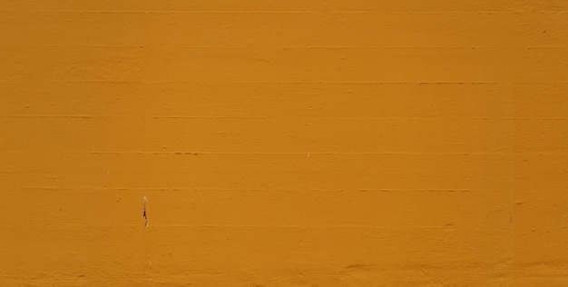 Una donna vestita di nero è in piedi davanti a un muro giallo.