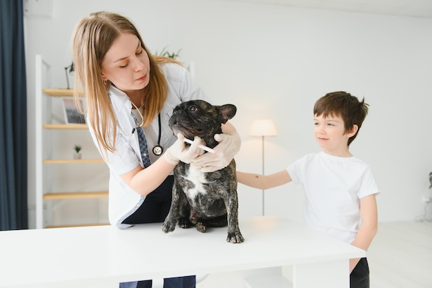 Una donna veterinaria esamina il cane e accarezza il suo Ospedale sanitario per animali con un aiuto professionale per animali domestici