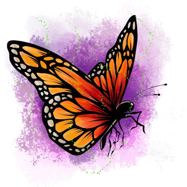 Foto una farfalla colorata morpho didius