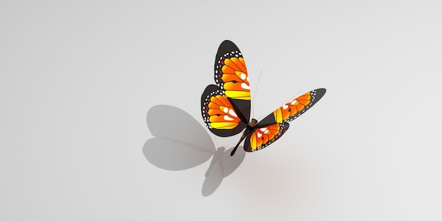 Una farfalla con ali arancioni e gialle è su uno sfondo bianco