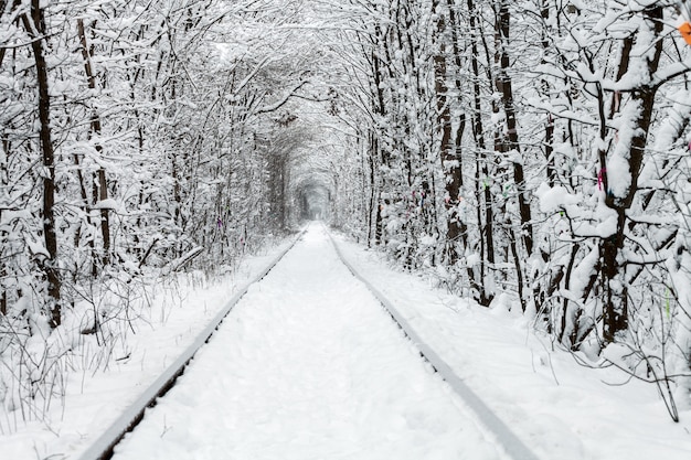 Una ferrovia nel tunnel invernale della foresta dell&#39;amore