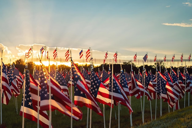 Una fila di bandiere americane è allineata in un campo con il sole che tramonta dietro di loro.