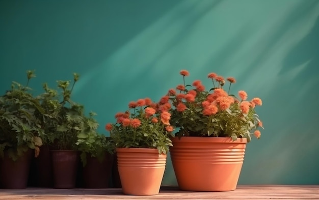 Una fila di fiori d'arancio è su un tavolo accanto a un muro verde.