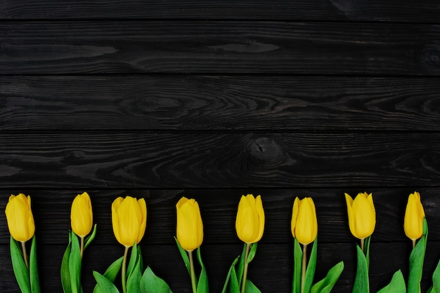Una fila di fiori di primavera giallo tulipano piatto laici.