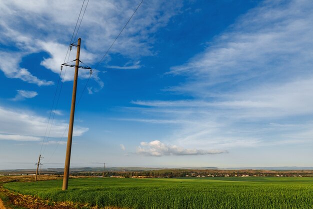 Una fila di pali di una linea elettrica in un campo vicino a una strada sterrata sotto un cielo limpido, linea di trasmissione elettrica, alimentazione