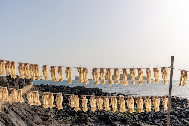 Una fila di pesci appesi a una linea con il cielo sullo sfondo