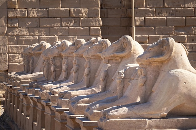 Una fila di sculture di capre dell'antico Egitto