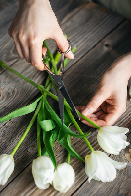 Una fiorista fa un bouquet di tulipani tagliando le estremità con le forbici.