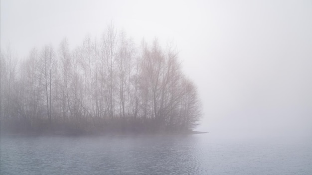 Una fitta nebbia sul lago Sagome di alberi su una piccola isola riflessa nelle increspature dell'acqua