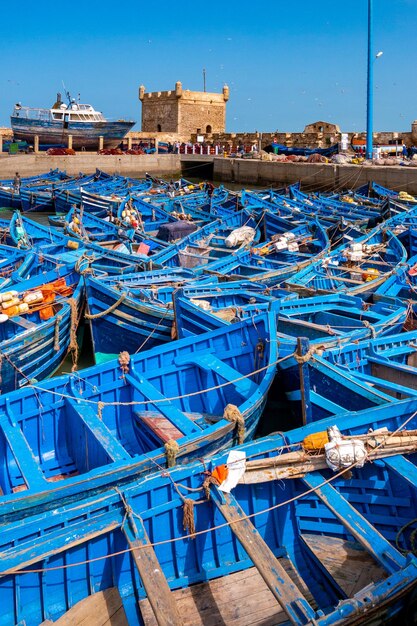 Una flotta di pescherecci blu si è accalcata nel porto di Essaouira in Marocco