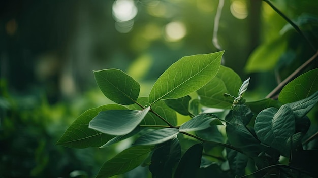 Una foglia verde con sopra la parola albero