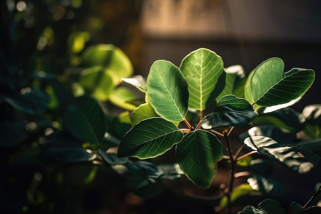 Una foglia verde con sopra la parola amore