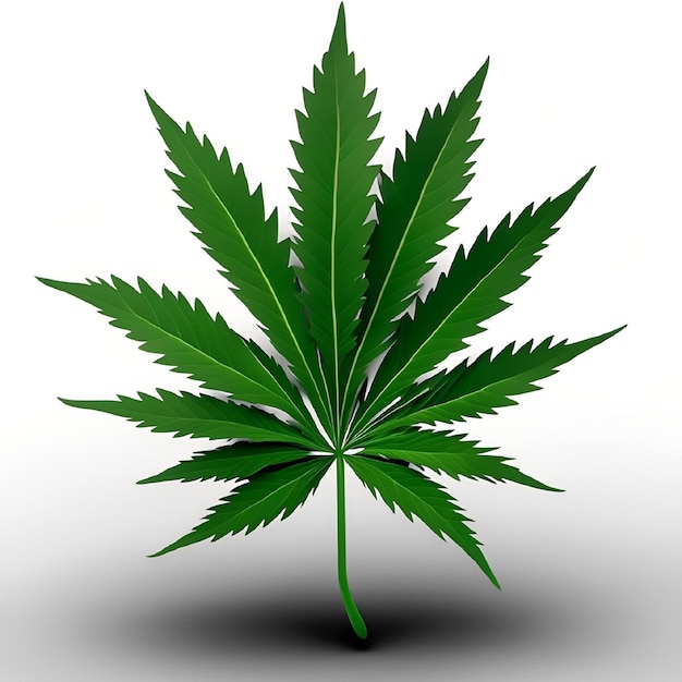 Una foglia verde con sopra la parola cannabis