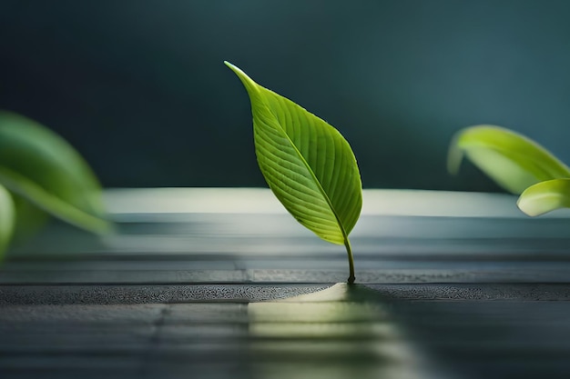 Una foglia verde cresce su un pavimento di legno.