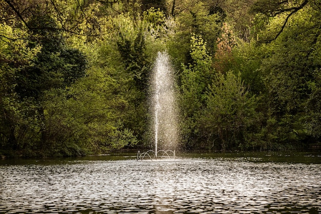 Una fontana in un parco pubblico