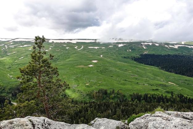 Una foresta in piedi accanto alle rocce che si affacciano sui prati alpini L'altopiano del LagoNaki ad Adygea Russia 2021