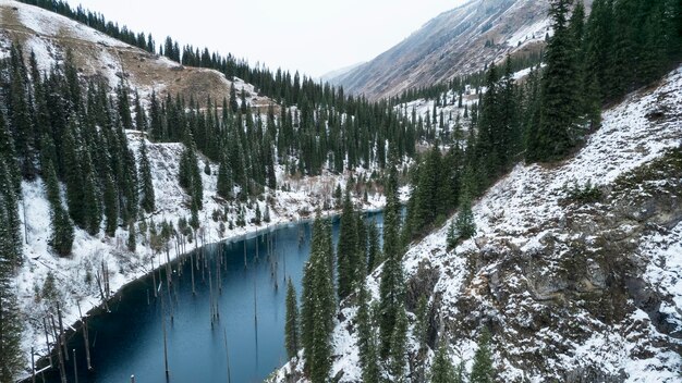 Una foresta sommersa in un lago di montagna. L'acqua è come uno specchio. I tronchi degli alberi escono dall'acqua.