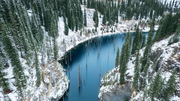 Una foresta sommersa in un lago di montagna. L'acqua è come uno specchio. I tronchi degli alberi escono dall'acqua.