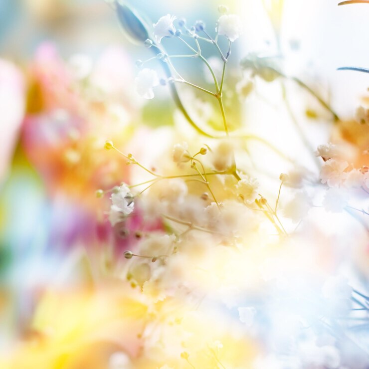 una foto colorata di fiori e il sole è mostrato