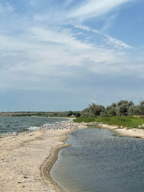 Una foto di un fiume con un cielo blu e una nuvola bianca.