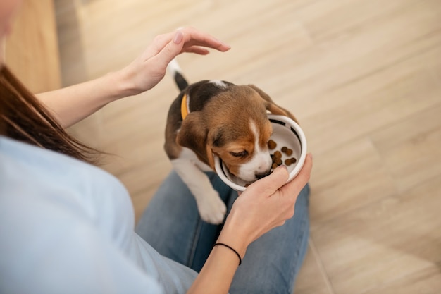 Una foto ravvicinata di un cucciolo che mangia da un piatto