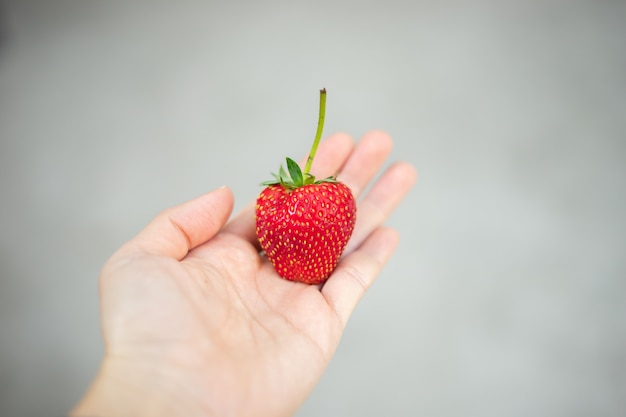 Una fragola rossa è in una mano. È frutta fresca, saporita e dolce.