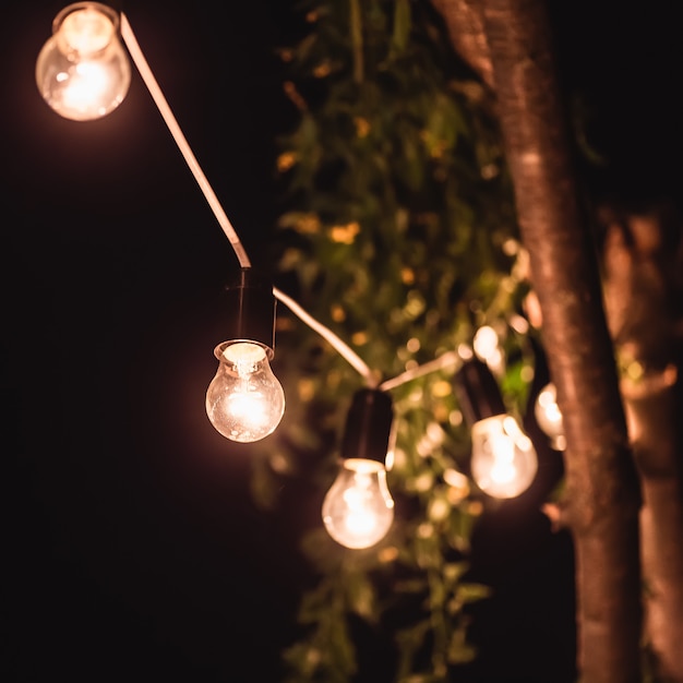 Una ghirlanda di lampadine nella decorazione della cerimonia notturna