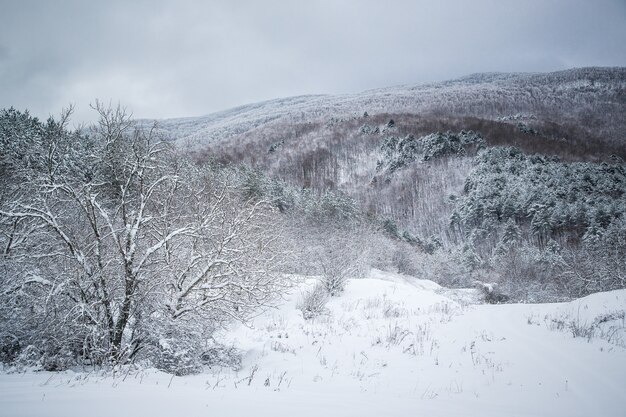 Una giornata gelida e soleggiata è in montagna