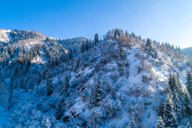 Una giornata gelida e soleggiata è in montagna