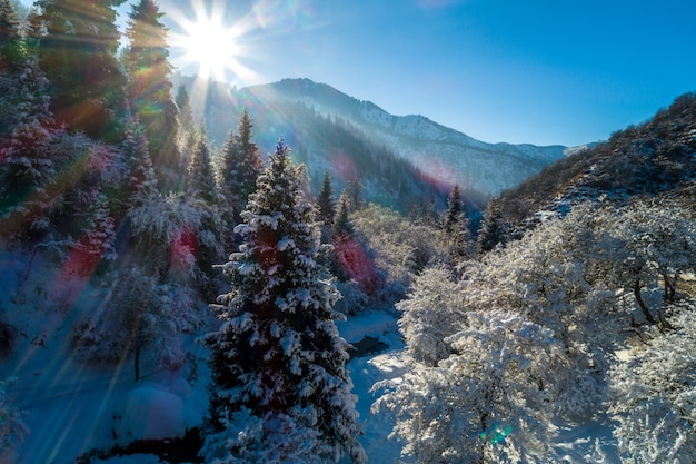 Una giornata gelida e soleggiata è in montagna