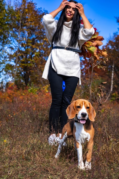 Una giovane bella ragazza cammina nella foresta autunnale con due cani beagle attivi
