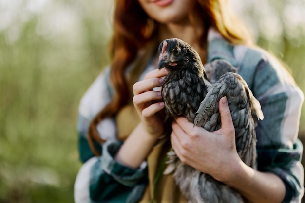 Una giovane contadina mostra il pollo alzato tenendolo per l'ispezione Fattoria biologica e uccelli sani