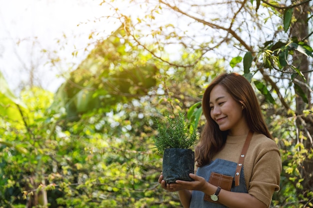 Una giovane donna asiatica che tiene e si prepara a piantare un albero di rosmarino per il concetto di giardinaggio domestico