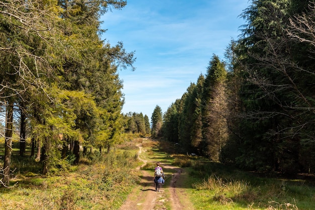 Una giovane donna che cammina nella foresta in cima al monte Andatza nella città di Usurbil Gipuzkoa Paesi Baschi