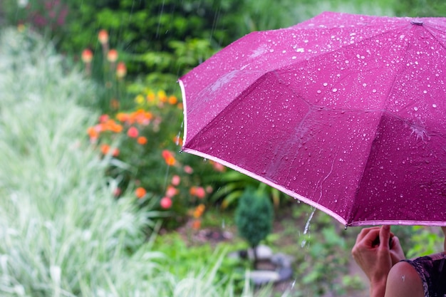 Una giovane donna con un ombrello viola nel parco in una piovosa giornata estiva