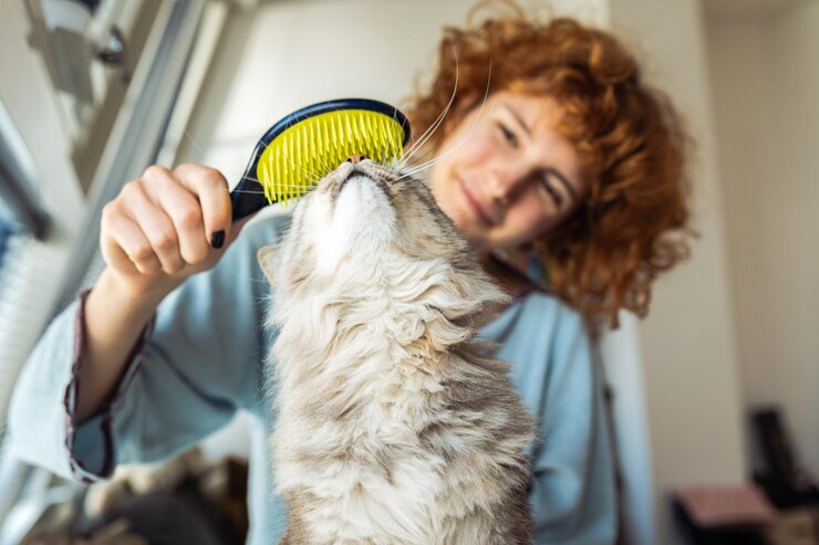 Una giovane donna dai capelli rossi spazzola il suo gatto peloso