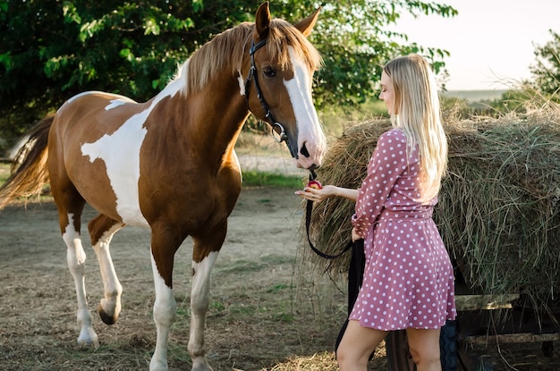 Una giovane donna nutre un cavallo vicino a un pagliaio in una fattoria