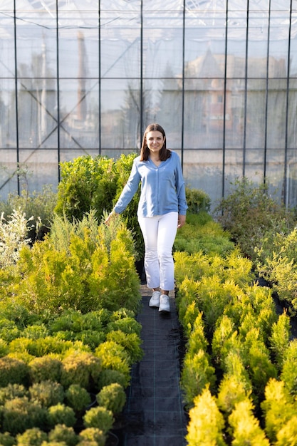 Una giovane donna si trova in una grande serra e sceglie una pentola con un piccolo albero Una donna sceglie le piante per abbellire il cortile Concetto di giardinaggio domestico