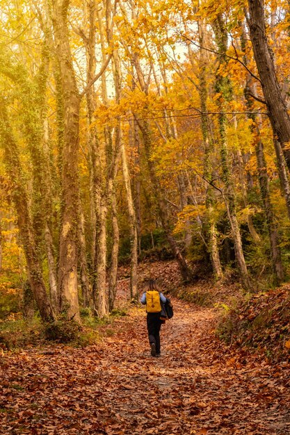 Una giovane donna su un sentiero di alberi verso il monte Erlaitz in autunno