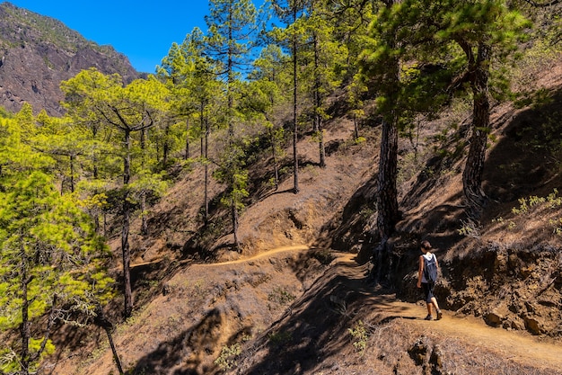 Una giovane donna sul bellissimo sentiero di trekking di La Cumbrecita sull'isola di La Palma vicino alla Caldera de Taburiente, Isole Canarie. Spagna