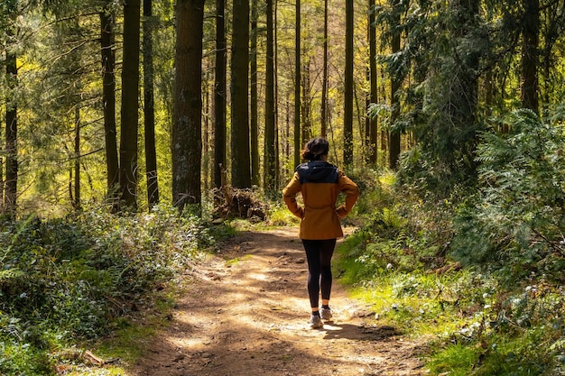 Una giovane donna sul sentiero attraverso la foresta per scalare il monte Andatza nella città di Usurbil Gipuzkoa Paesi Baschi