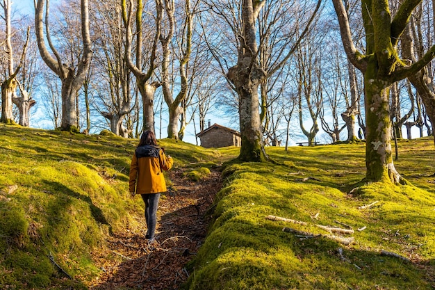 Una giovane donna sul sentiero di trekking nella faggeta di Oianleku