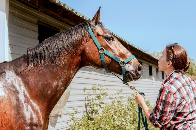 Una giovane e bella donna rimprovera un cavallo per la disobbedienza Comunicazione Amicizia