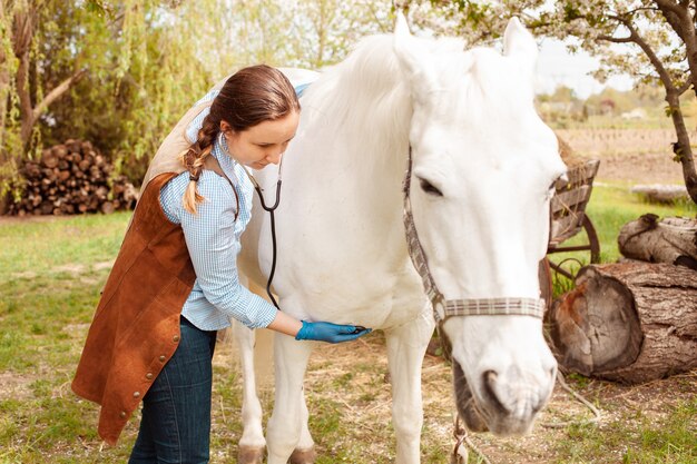 Una giovane e bellissima veterinaria ispeziona un cavallo bianco